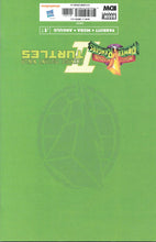 Load image into Gallery viewer, Power Rangers | Teenage Mutant Ninja Turtles | #1 Escorza Brothers Sketch Cover