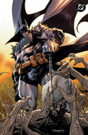 ABSOLUTE BATMAN #23 STEPHEN SEGOVIA EXCLUSIVE VIRGIN VAR (08/12/2026)
