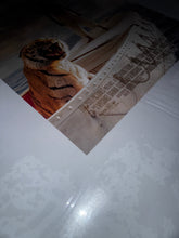 Load image into Gallery viewer, LIFE OF PI -- Original D/S MOVIE POSTER 27x40