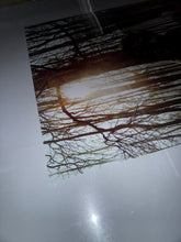 Load image into Gallery viewer, Where the Wild Things Are Original DS 27x40 Theatrical One-Sheet Movie Poster