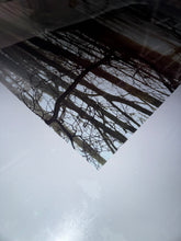 Load image into Gallery viewer, Where the Wild Things Are Original DS 27x40 Theatrical One-Sheet Movie Poster