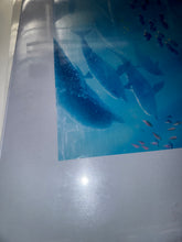 Load image into Gallery viewer, Finding Dory 2016 Original 27x40 DS Movie Poster Disney Pixar