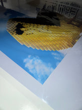 Load image into Gallery viewer, Pixels 2015 Original Movie Poster 27x40 DS One Sheet Theatrical